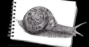 Realistic-drawing-and-painting